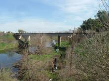 Segunda Caminata por el arroyo Saladillo